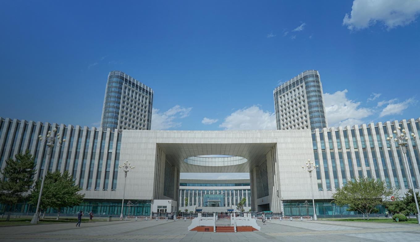政府解決方案